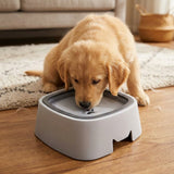 Cachorro golden retriever bebiendo agua a traves de los orificios en forma de huella de pata del disco flotante
