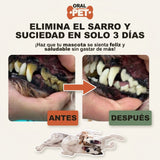 Infografia antes y despues del spray bucal Oral Pet