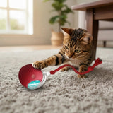 Gato jugando con la Pelota Inteligente Mascota con Cuerda