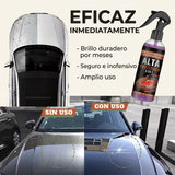 Infografia eficaz inmediatamente del spray ceramico 3 en 1